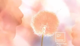 pantone-2024-peach-fuzz