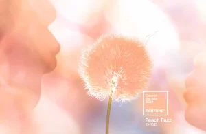 pantone-2024-peach-fuzz