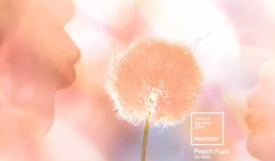 pantone-2024-peach-fuzz