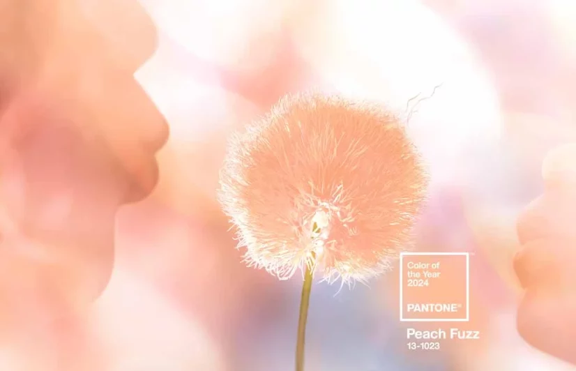 pantone-2024-peach-fuzz